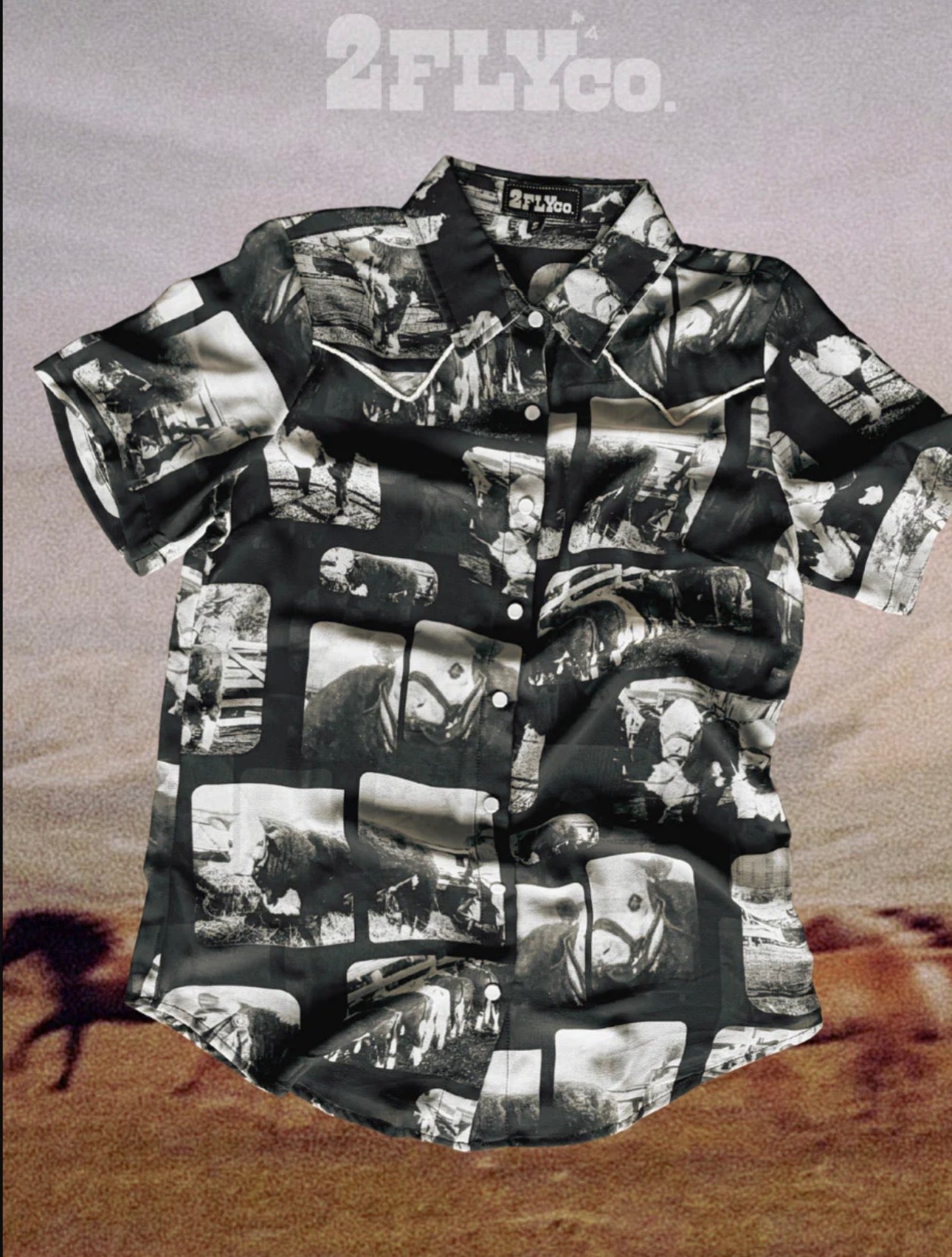 Hereford Edits Short Sleeve Button Down Sheer