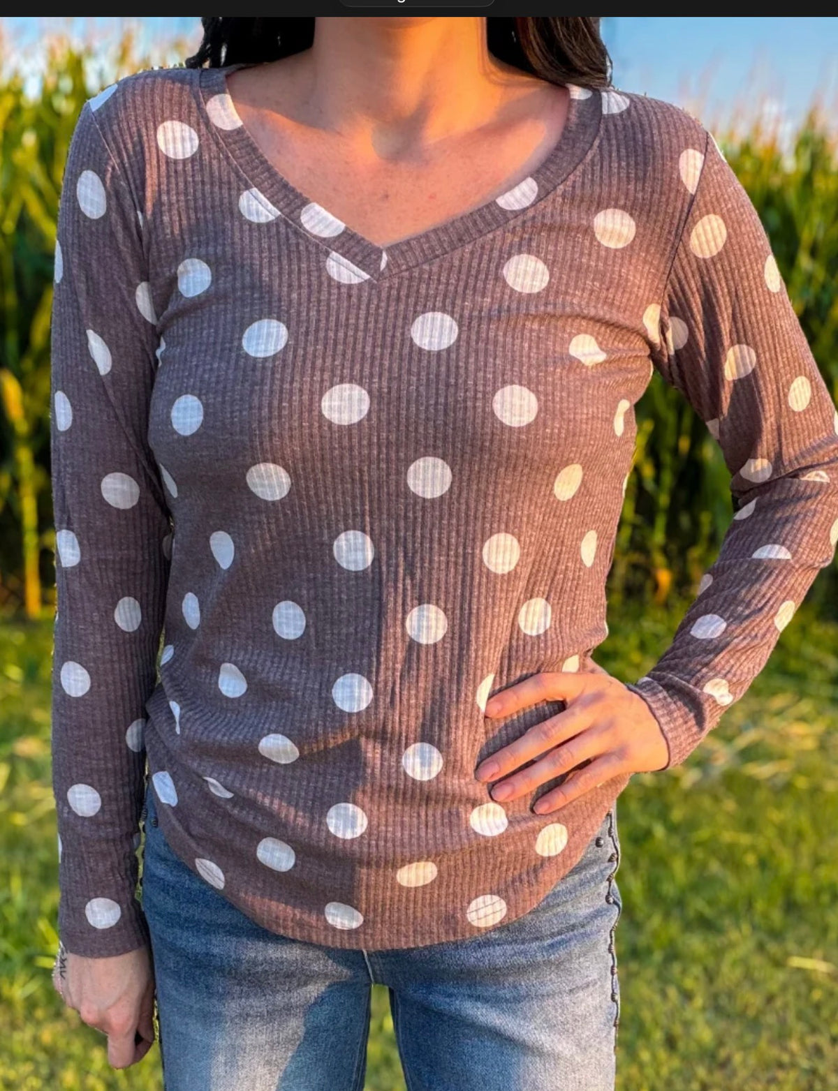 Prairie Poka Dot - Chocolate Brown