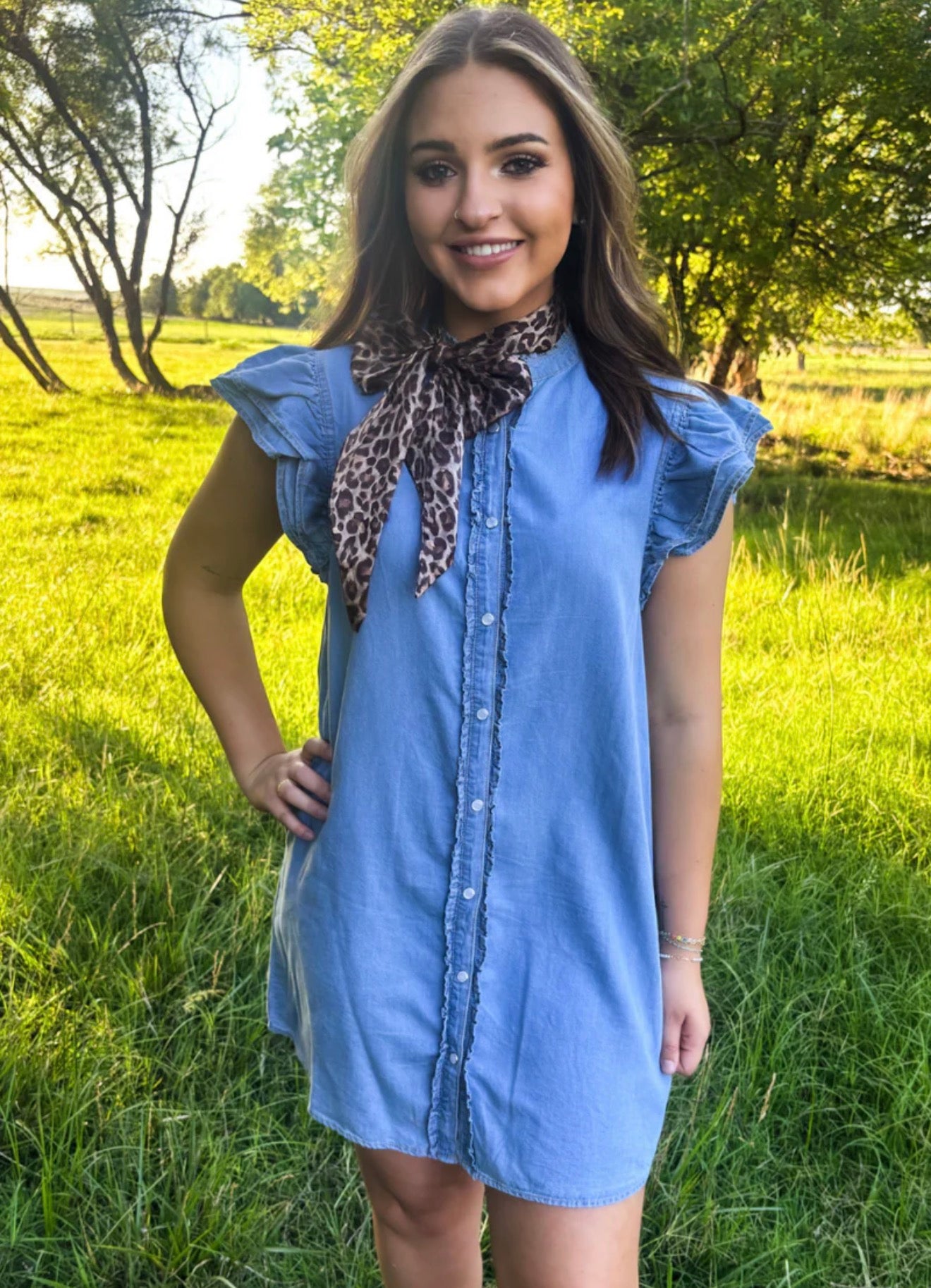 Denim Days Dress